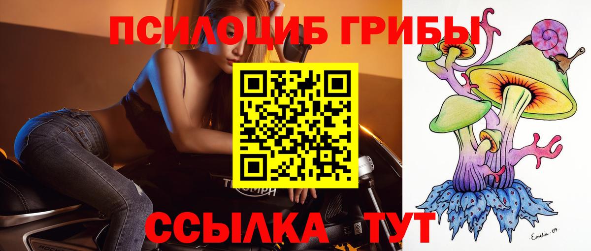 Псилоцибиновые грибы мухоморы Лыткарино